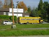schoolbus.jpg image by gerlindebuit
